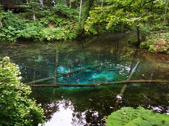 近くの神の子池。
ミツ蜂とハエのハーフみたいな虫が飛び交いすぎてて、まともに見れなかった。