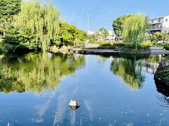 その後　三島へ移動

菰池公園

自分の好きな公園