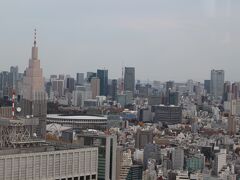 お腹がいっぱいになったので、またお散歩。
今度は都庁の展望台に行きました。
東京タワーが見えます。