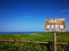 車をかなり走らせて小清水原生花園へ。
北海道の夏って風景を撮りに。