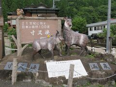 寸又峡入口。カモシカやリスと一緒に我が家の鳥どもも記念写真。

旅館や土産物屋などがならんでいます。早朝なので、まだ空いているお店はほとんどありません。