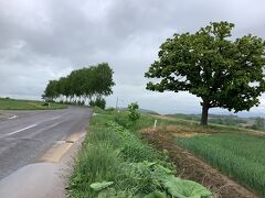 目の前は「パッチワークの路」
