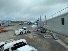 鹿児島空港を経由します。飛行機の予約は今年3月初めにしたのですが、たす得・いま得で往復3万6千円程度でした。

SKY 381便　鹿児島 発 10:10 → 奄美大島 着 11:10