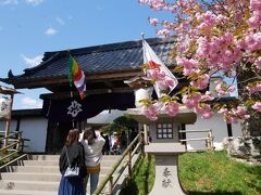 で、最後に中尊寺。
八重桜が満開。
今日は祝日なので国旗も掲げられている。
