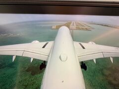 機体はA350です。
子供がいると、飛行機内で動画を見せるため、iPadにダウンロードしておきますが、A350は液晶画面があるので、用意せずにいいので楽です。
さあ、那覇空港へランディング！