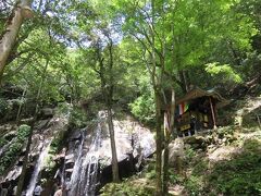 金引の滝・・・一年中豊かな水量を誇る美しい滝

日本の滝１００選の一つ「金引の滝」は高さ約40m、幅約20m

水は左右に流れて落ち、右側は「男滝」、左側は「女滝」と呼ばれています

下流の「白龍」、「臥龍」の滝とともに「金引の滝」と総称され、水と緑を求める多くの人々に親しまれる憩いのスポット

滝壺が無く、滝のすぐそばにまで入れるのが魅力

特に夏場は、涼を求めてたくさんの方が訪れます

多くの水量と流れ落ちる迫力に、一瞬の涼感じます

今回道の駅宮津でレンタサイクル借りて行きましたが、行きの坂道は若干つらかったです







