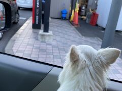 マクドナルド西尾店