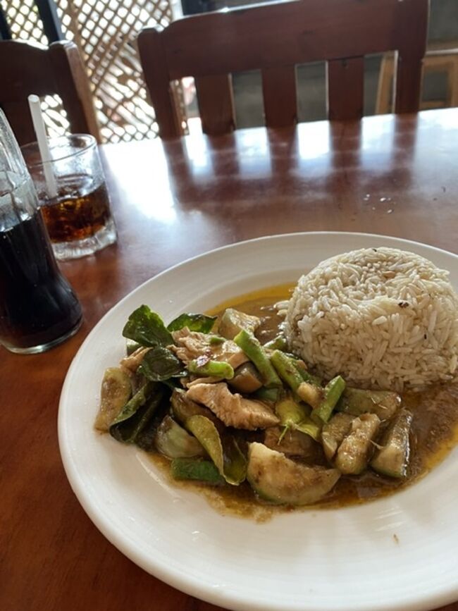 最後の昼飯。<br />別にチェンマイ名物ではないですが、ぶっかけ飯。<br /><br />これで短い夏休みが終わりました。<br />あとちょっとの赴任期間を過ごして、日本へ帰ります。<br />日本帰ったら、なかなか海外はいけないだろうな。