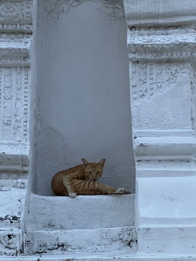 でも、ここはお墓が多く、観光地ではないみたい。<br />ちゃんと手を合しましたよ。