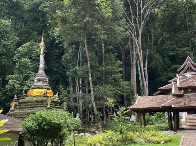 ここはすごい趣がありました。ｲﾝﾄﾞﾈｼｱで行ったチュトみたい。<br /><br />本当は下界まで歩いていこうと思っていましたが、とても無理。<br />ちょうどソンテウが居たので助かった。