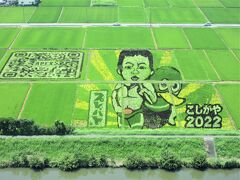 こしがや田んぼアート（埼玉県越谷市増林）

『スプレーアート「二代目タイガーマスク三沢とガーヤちゃん」』
越谷市出身の二代目タイガーマスク三沢光晴と、越谷市のゆるキャラ「ガーヤちゃん」。三沢が越谷ネギを持っていて･･･
越谷に鴨場があること、ネギが名産であることから、自らお鍋に入ってネギを背負っているゆるキャラガーヤちゃんが生まれたとか。