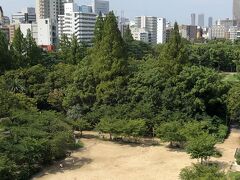 大阪に到着し、まず来たのが靱公園。広大な敷地でした。
