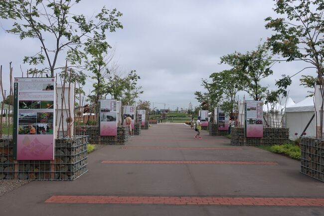 会場も広い為、色々なコーナーがあります