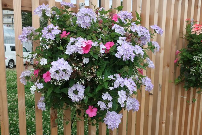 柔らかな印象で飾り付けてあります