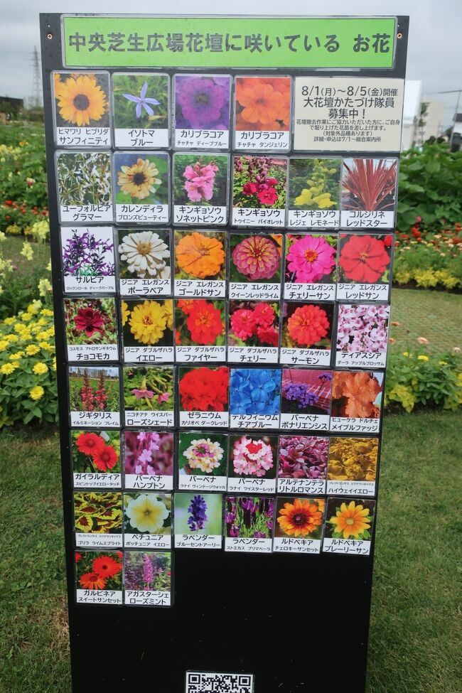 飾り付けられている花の名前も分かります