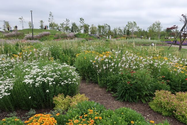 鮮やかな花壇です