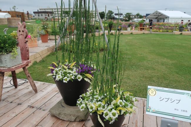 金賞受賞作品　シプシプと名前が付いています