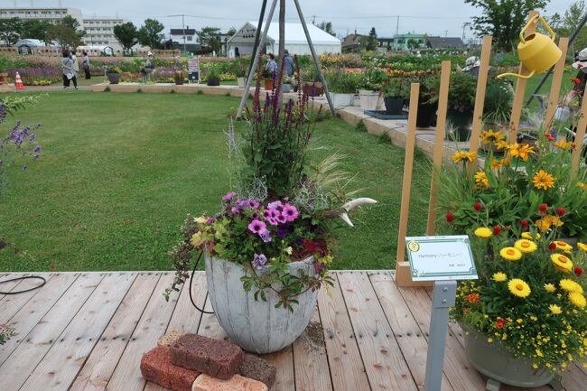 金賞受賞作品　ハーモニー