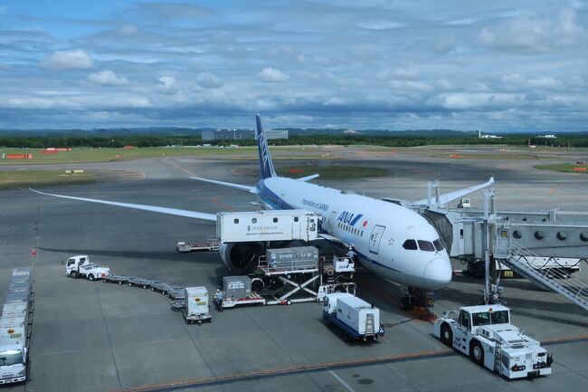 ラウンジからはANA便の出発準備の様子が、良く見えます