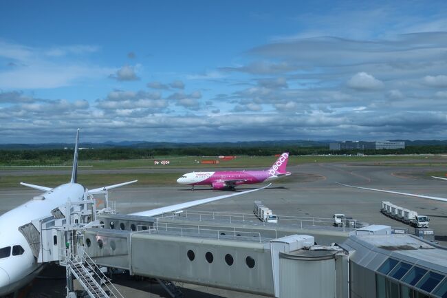 セントレアに向かうピーチ便が到着しました