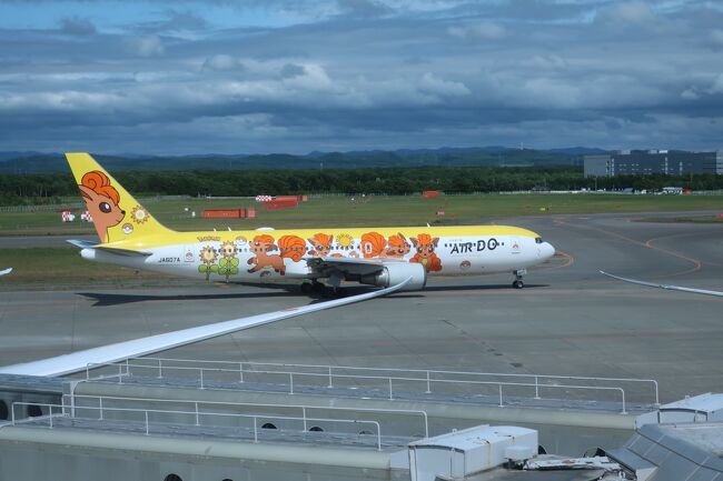 エアドゥーのポケモン模様の機体が珍しいです