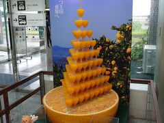 1時間ちょっとで松山空港到着
えひめシトラスキャンペーンでみかんジュースをもらえた！
ラッキー