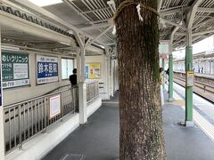 阪急服部天神駅のホームに御神木が鎮座しています。
以前は駅構内も天神宮の敷地だった名残です。