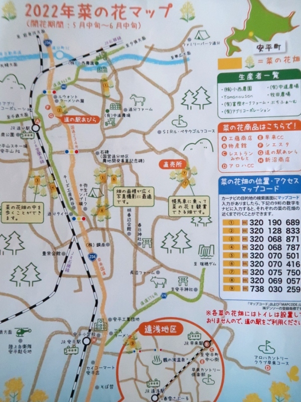 初夏の北海道旅行 安平町の菜の花 編 4 1 千歳 新千歳空港 北海道 の旅行記 ブログ By るりさん フォートラベル 初夏の北海道旅行 安平町の菜の花 編 4 1 千歳 新千歳空港 北海道 の旅行記 ブログ By るりさん フォートラベル