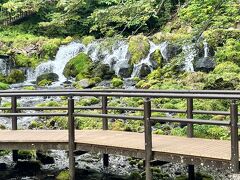 夏のふきだし公園はとても清涼感があって気持ちよく散策できました。