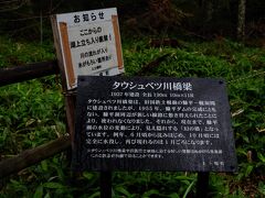 タウシュベツ川橋梁！
糠平ダムの建設によって使われなくなった旧国鉄士幌線の橋です。