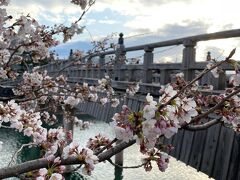 金沢市内１日フリー乗車券を利用して
まずはひがし茶屋街へ
桜はこんな感じ