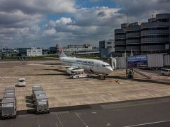 登場口からは今回登場予定の飛行機を見ることができます