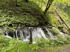 涼しげに水が流れていた