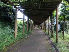 駅の方へ延びています。どう見ても廃線跡。
そういえば祈念館の模型にも線路がありました。