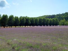 14:15　ファーム富田

ファーム富田に到着。
ラベンダー畑を見に来ました。
とっても広い！ラベンダーがいっぱい！