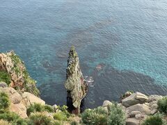 ヒーヒー言いながらも島の西の先っちょの赤岩展望台に到着。
絶壁、青い海の絶景です。