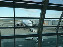 羽田空港で搭乗するBoeing 787-8 Dreamlinerです。