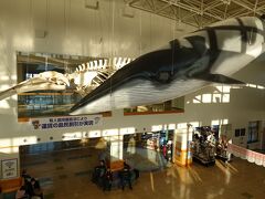 有川港フェリーターミナルに鯨賓館ミュージアムもあります