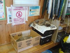 相島渡船待合所内で猫が寝ています。
起こさないようそっと写真撮影。