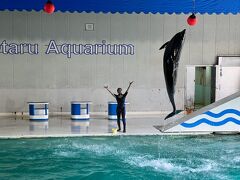 おたる水族館