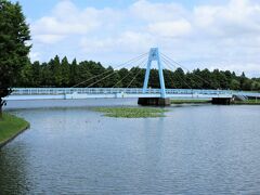 水元大橋（東京都葛飾区水元公園）

内溜に水が流れ出るようになっている入り江を渡るように吊り橋が出来ていて、水元公園のシンボルにもなっています。