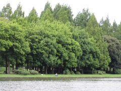 県営みさと公園（埼玉県三郷市高州）
対岸は埼玉県です。規模は小さいですが、バーベキュー広場などもあります。