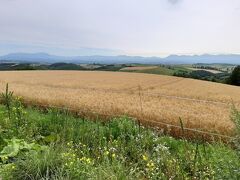 一気に美瑛まで走り、五稜の丘。

走っていると、美瑛町の街並みや、大雪山から十勝岳連峰まで見渡せます。
