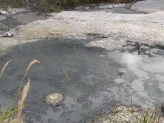 ボッケ(泥火山)もあって、硫黄の臭いがしました。