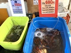 道の駅日向
伊勢海老が名物