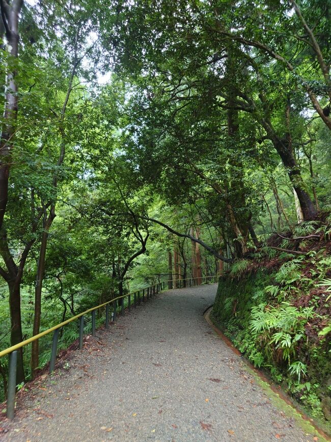 202207 苔と青もみじと京都②』八瀬・大原・貴船・鞍馬(京都)の旅行記