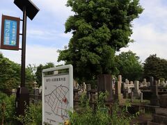 雑司ヶ谷霊園（写真）には夏目漱石・竹久夢二・小泉八雲他著名人のお墓があると聞いたので、次回探してみたいと思います。