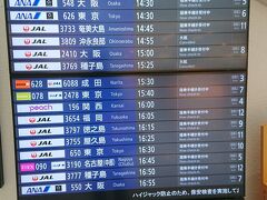 鹿児島空港には13:09に着いたのですが、JAL便は16:30発。
でも早く帰りたいのでソラシドエアの15:40発を選択することに、それでも2時間ほどは暇ですね。