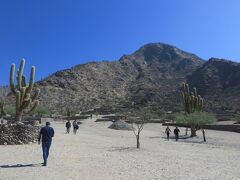 山の斜面に広がる文明の跡。Ciudad Sagrada de Quilmes ということでキルメスの聖都とでも訳されるのでしょうか。スペイン植民以前の、原住民による高度な文明都市がカルチャキ渓谷のあちこちに点在していたそうです。