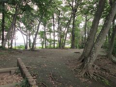 新川天神山青少年広場　雑木林だけの、娯楽施設の全くない自然のままの緑の公園です。ここは天神山城があった所と言われています。写真は天神山城の郭跡です